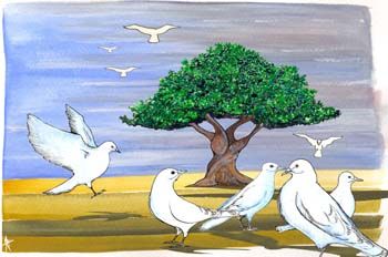 palomas