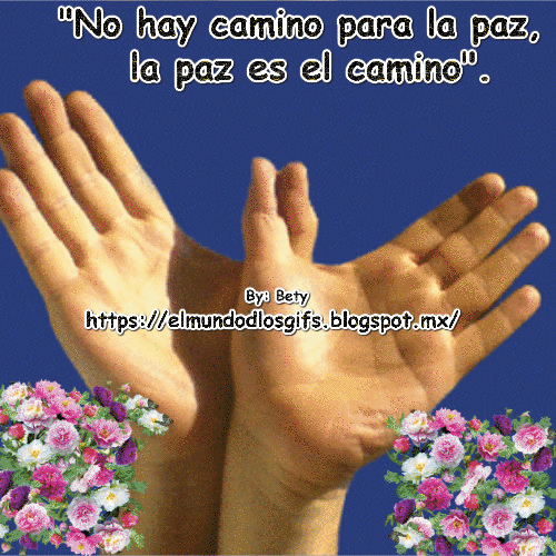 56254fefad62c1d35750c860e7c491e6